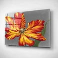 thumbnail image 2 of Epic Art 'Tulip Portrait II' by Tim O'Toole, Acrylic Glass Wall Art, 24"x16", 2 of 3