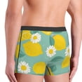 thumbnail image 4 of Kdxio Men's Boxer Briefs with Lemons Chamomile Flowers And Leaves Print - Comfortable and Breathable Underwear for Everyday Wear, 4 of 7