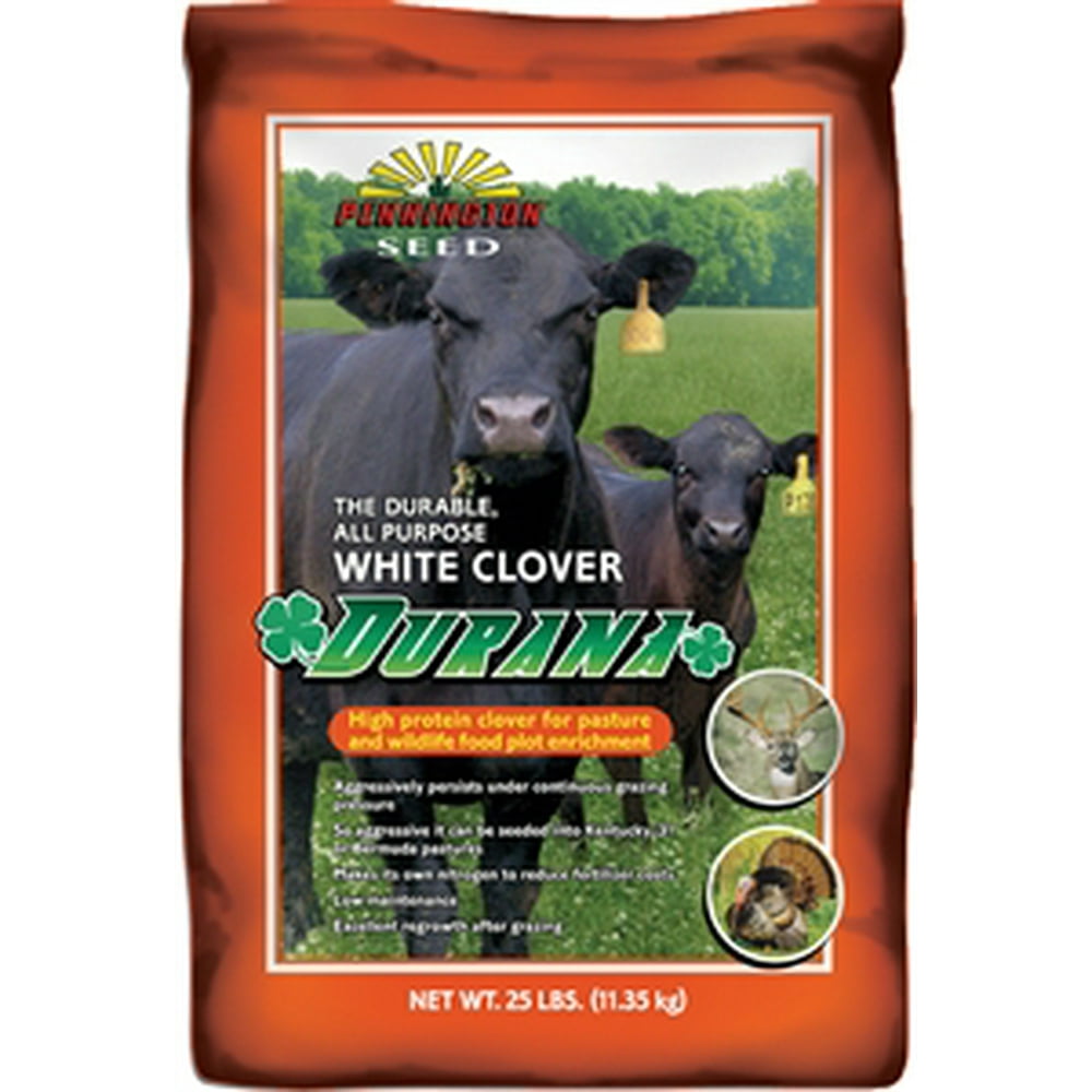 Durana White Clover Seed 25 Lbs.