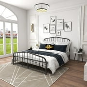 EvinTer Queen Size Modern Design Platform Metal Bed Frame, Black
