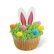 Bunny Ears Fun Pix 24ct