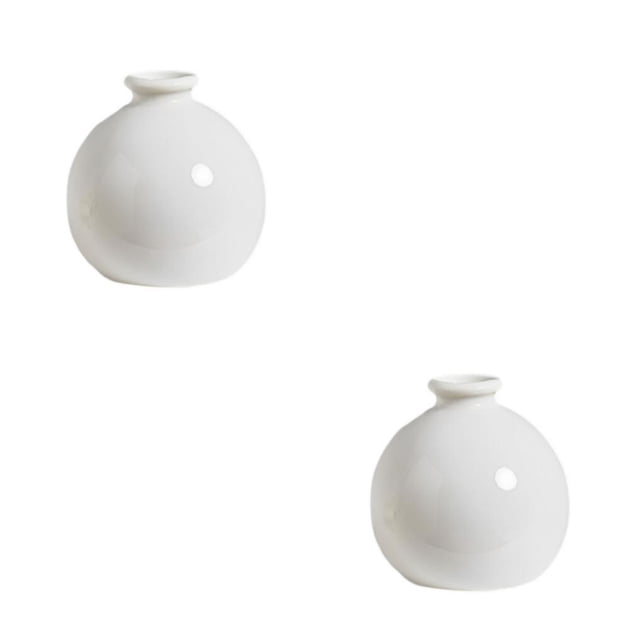 Guardoinrt Solid And Anti-corrosion Ceramic Vase Providing For Furniture Atificial Flower White White 2Set