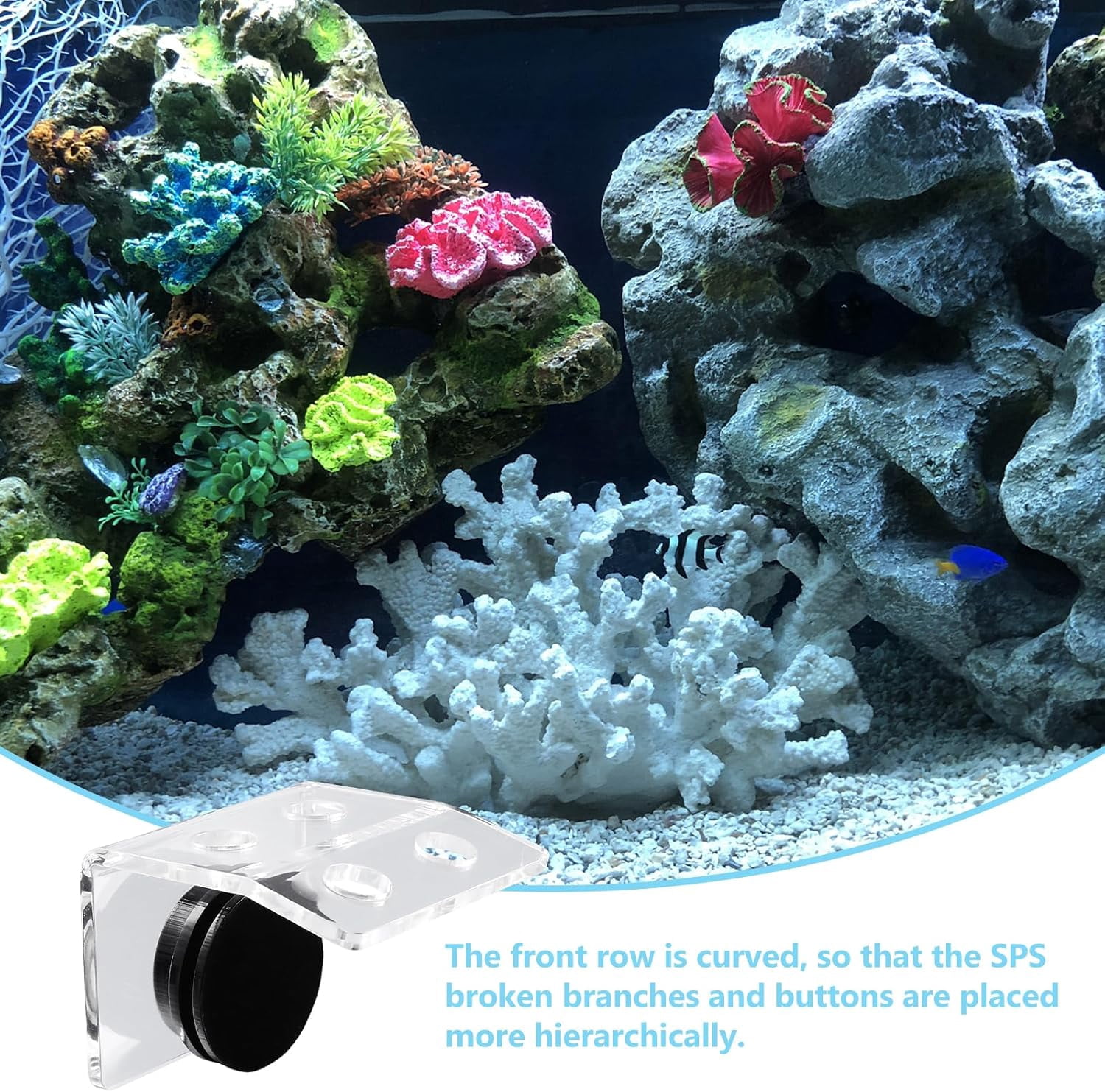 ABCISI Magnetic Coral Rack, Aquarium Plant Magnet Holder, 4 Holes Acrylic Coral Frag Clip, Fish Tank Coral Bracket with Suction Cup for Aquarium Fish Tank Coral Plant Hold Tools