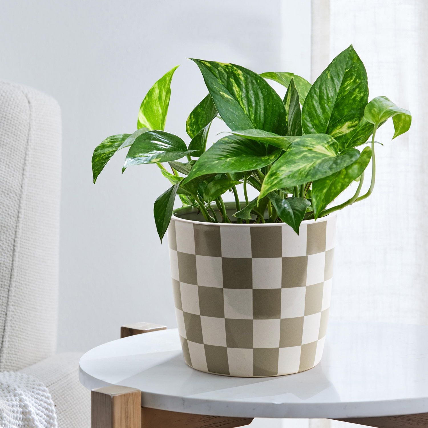 Mainstays 6 inch Gris Check planteur MS 6 in. gris Check planteur