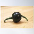 thumbnail image 2 of Green Pepper Poster Wall Art, Modern Wall Decor For Living Room Bedroom, 12x18 UNFRAMED, 2 of 3