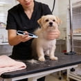 thumbnail image 4 of Pet Hair Trimmer, Low Noise Rechargeable Electric Clipper with Precision Blade for Dogs Cats, Cordless Grooming Shaver for Sensitive Areas Paws Face Ears Home Grooming, 4 of 5
