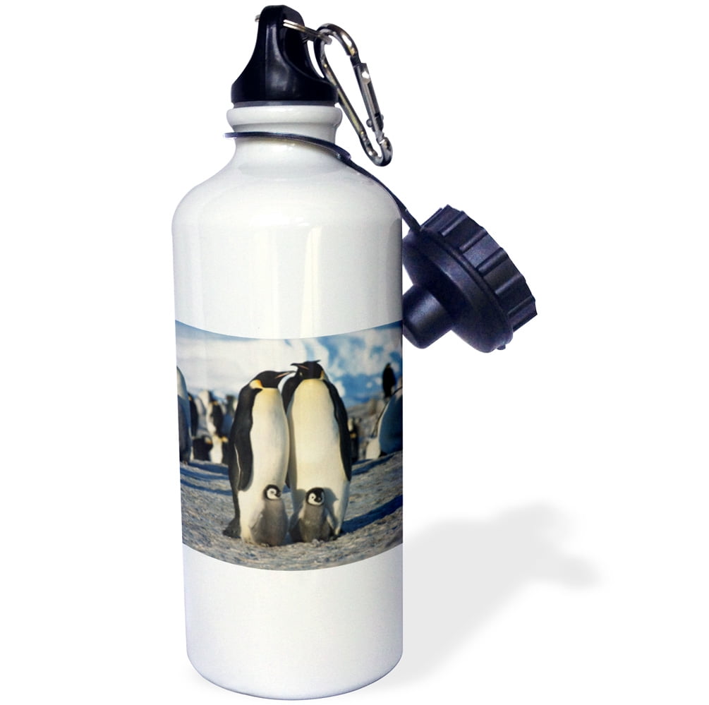 3dRose Antarctica, Herd of Emperor Penguins in winter , Sports Water Bottle, 21oz by Supplier Generic