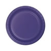 Purple 9 inch Dinner Plates, Pack of 8, 2 Packs
