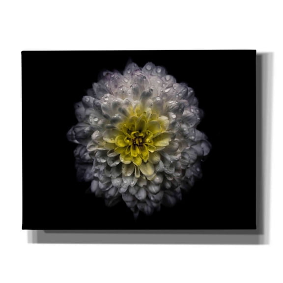 Epic Graffiti 'Backyard Flowers 46 Color Version' by Brian Carson, Giclee Canvas Wall Art, 34"x26"