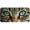 thumbnail image 1 of Cat Eyes ETAG03 Novelty Car Auto License Plate, 1 of 2
