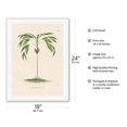 thumbnail image 2 of Evergreen Palm Tree (Hyospathe Elegans) - Vintage Botanical Illustration by Carl Friedrich Philipp von Martius c.1820s - Japanese Unryu Rice Paper Art Print (Unframed) 18 x 24 in, 2 of 4