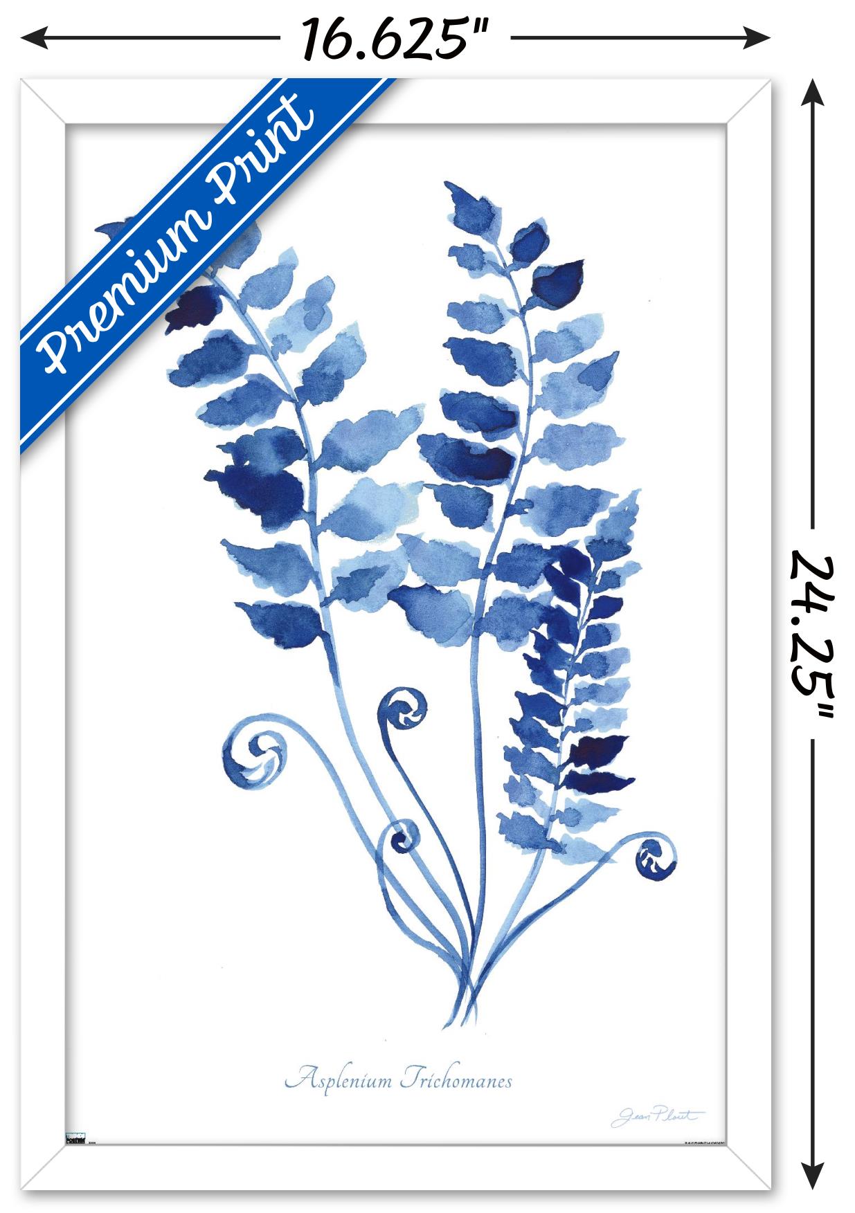 Jean Plout - Indigo Botanical Asplenium Trichomanes Wall Poster, 14.725" x 22.375" Framed