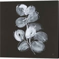 thumbnail image 3 of Great Art Now White Eucalyptus by Chris Paschke 2 Piece Canvas Art Set Each 14"W x 14"H, 3 of 3