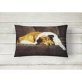 thumbnail image 2 of Carolines Treasures AMB1031PW1216 Collie by Tanya and Craig Amberson Fabric Decorative Pillow 12H x16W multicolor, 2 of 3