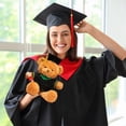 thumbnail image 7 of ​14in PhD Graduation Bear - Pink Faux Velvet Plush w/ Embroidered Regalia, Collectible Scholar Gift Set (Gown, Cap, Diploma, 6+ Safe)​​ Green, 7 of 7