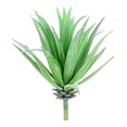 thumbnail image 1 of Coofit Artificial Succulent Decorative DIY Fake Succulent Fake Plant for Home Decor, 1 of 7