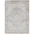 thumbnail image 1 of Amer Rug CEN115373 Century Bordered Area Rug, Gray Ivory - 5 ft. 3 in. x 7 ft. 3 in., 1 of 1