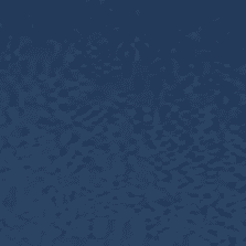 Blue Indigo