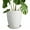 Matte White, variant on 8 inch Ceramic Planter - Round Modern Flower Pots with Drainage Hole & Saucer for Women & Mom on Mother's Day, for Orchids & Flowers, Matte White