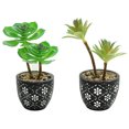 thumbnail image 1 of uds simulación de plantas suculentas en macetas, pequeños adornos creativos, plantas verdes artificiales, decoración interior, 1 of 5