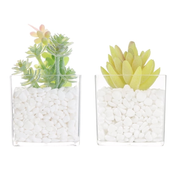PapakeNook 2-Pack Mini Clear Acrylic Artificial Succulent in Pots Small Fake Plants for Living Room Bathroom Plant Shlef Decor Office Desk Floating Shelves Window Sill Decoration Accessories