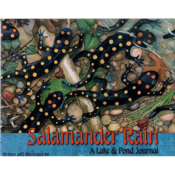 Pre-Owned Salamander Rain: A Lake & Pond Journal (Sharing Nature With Children Book) (Hardcover) 1584690186 9781584690184