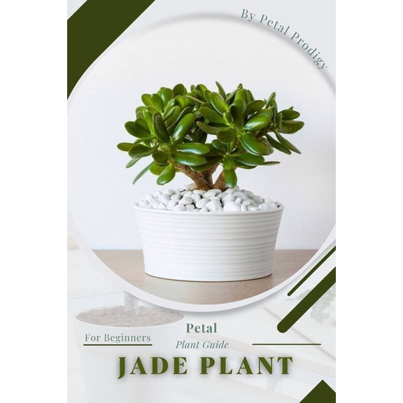 Jade Plant: Prodigy Petal, Plant Guide