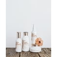 thumbnail image 2 of Coconut Conditioning Wash - Blossom - Sulfate-Free Cleansing Hair Conditioner for Dry or Damaged Hair (10 oz.), 2 of 3