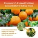 thumbnail image 5 of Liquid Citrus Tree Plant Fertilizers Fruit Growth Nutrient Solution for Indoor Outdoor Use, 5 of 5