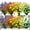 Color Mix, variant on ZOELNIC 8 Bundles Artificial Flowers Outdoor, Plastic Faux Flowers Plants UV Resistant Greenery Plants Artificial Fake Plants Indoor Outside Home Garden Spring Summer Decor(Fuchsia)