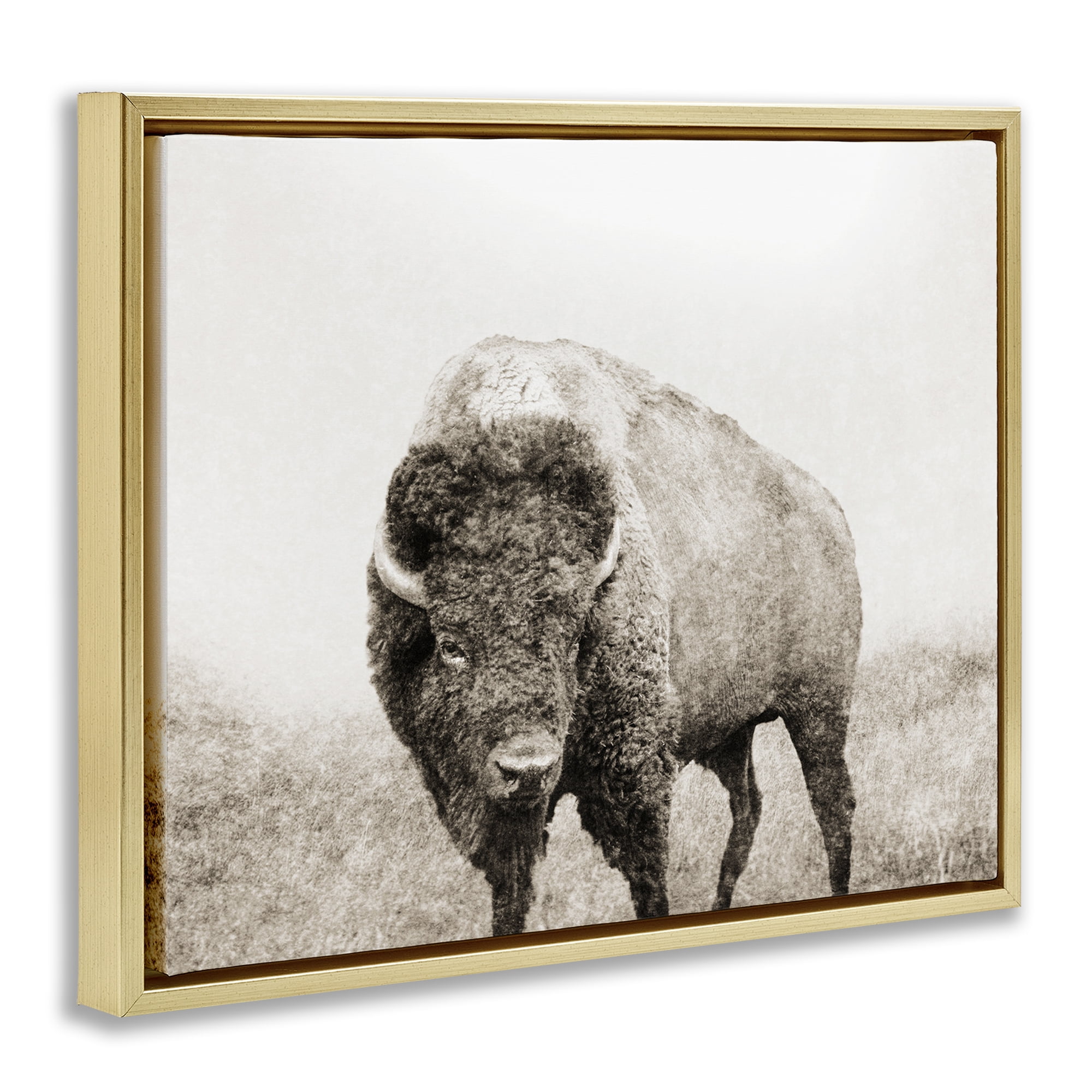 Stupell Industries Bison Distressed Portrait Animals & Insects Photography Gold Floater Framed Canvas Art Print Wall Art, 21 x 17