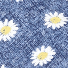 Daisy