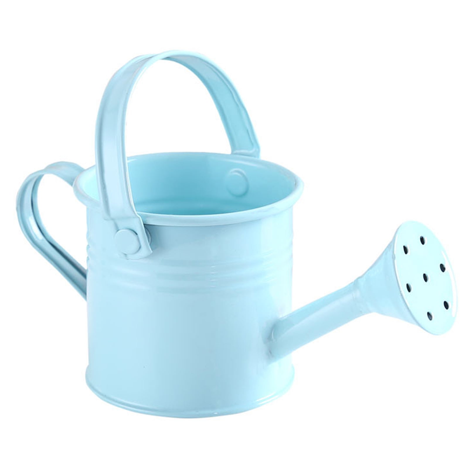 Travel Water Sprayer Watering Can Container Carrying Curved Mouth Pot FW 