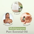 thumbnail image 4 of Aceite esencial Pranarom Rose Geranium 15 ml USDA Organic, 4 of 6
