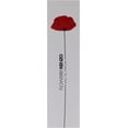 thumbnail image 2 of Perfume Kenzo Flower Eau De Parfum 30 ml para Mujer Kenzo, 2 of 4