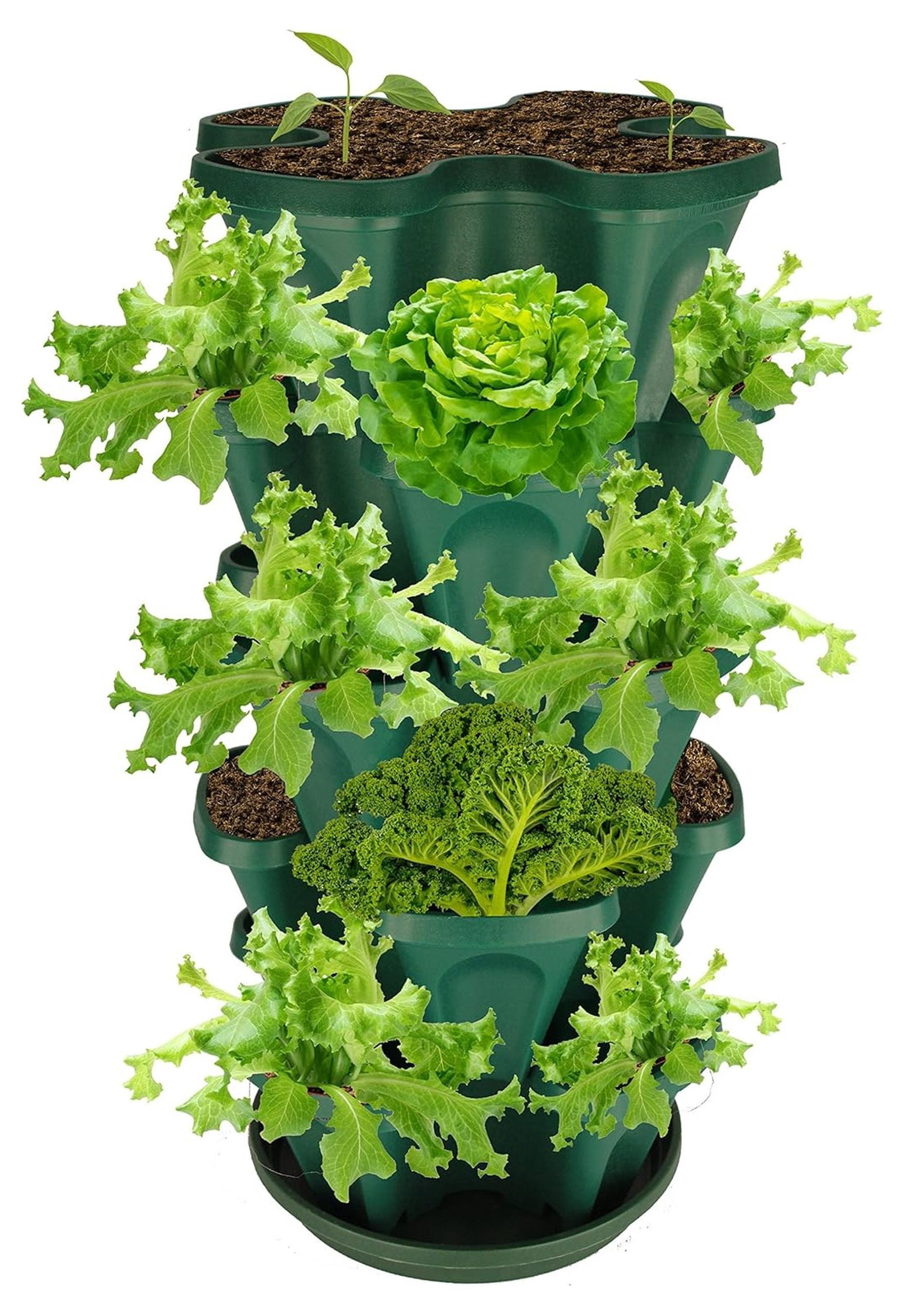 5-Tier Strawberry and Garden Planter - Stackable Gardening Pots with 10 Inch Saucer ( Green)
