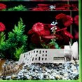 thumbnail image 4 of Raindrops Terrarium Basking Platform Decor Plastic Bathing Area with Suction Cup 1Pcs, 4 of 8