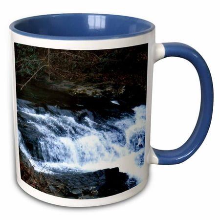 3dRose A stream in the Smokey Mountains by Cades Cove - Two Tone Blue Mug,