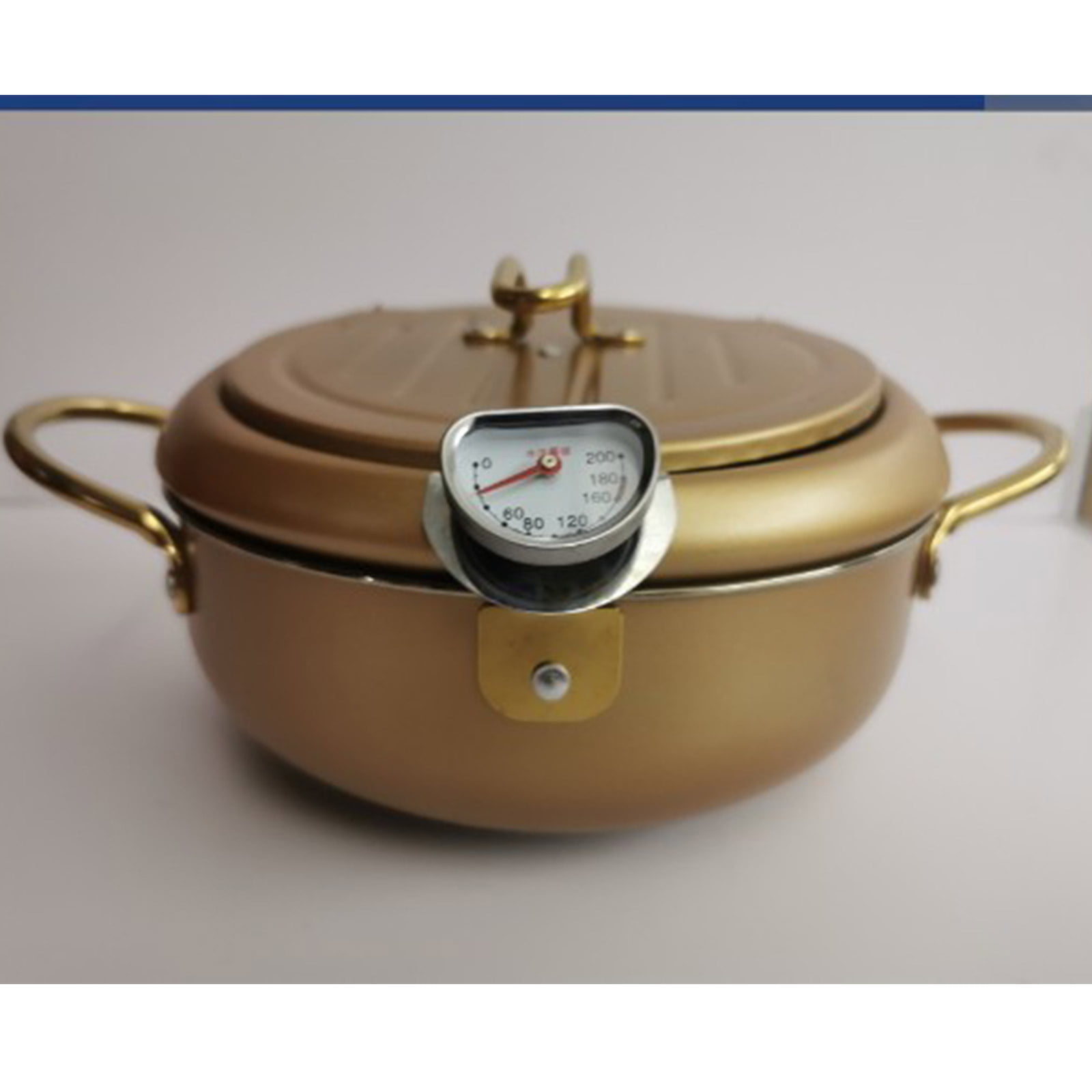 Details about   Iron Deep Fryer with Lid and Oil Drain Rack Thermometer