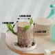 thumbnail image 3 of Brazilian lucky wood, with doll and plastic tray, Easy to grow indoors Potted Plant, 3 of 4