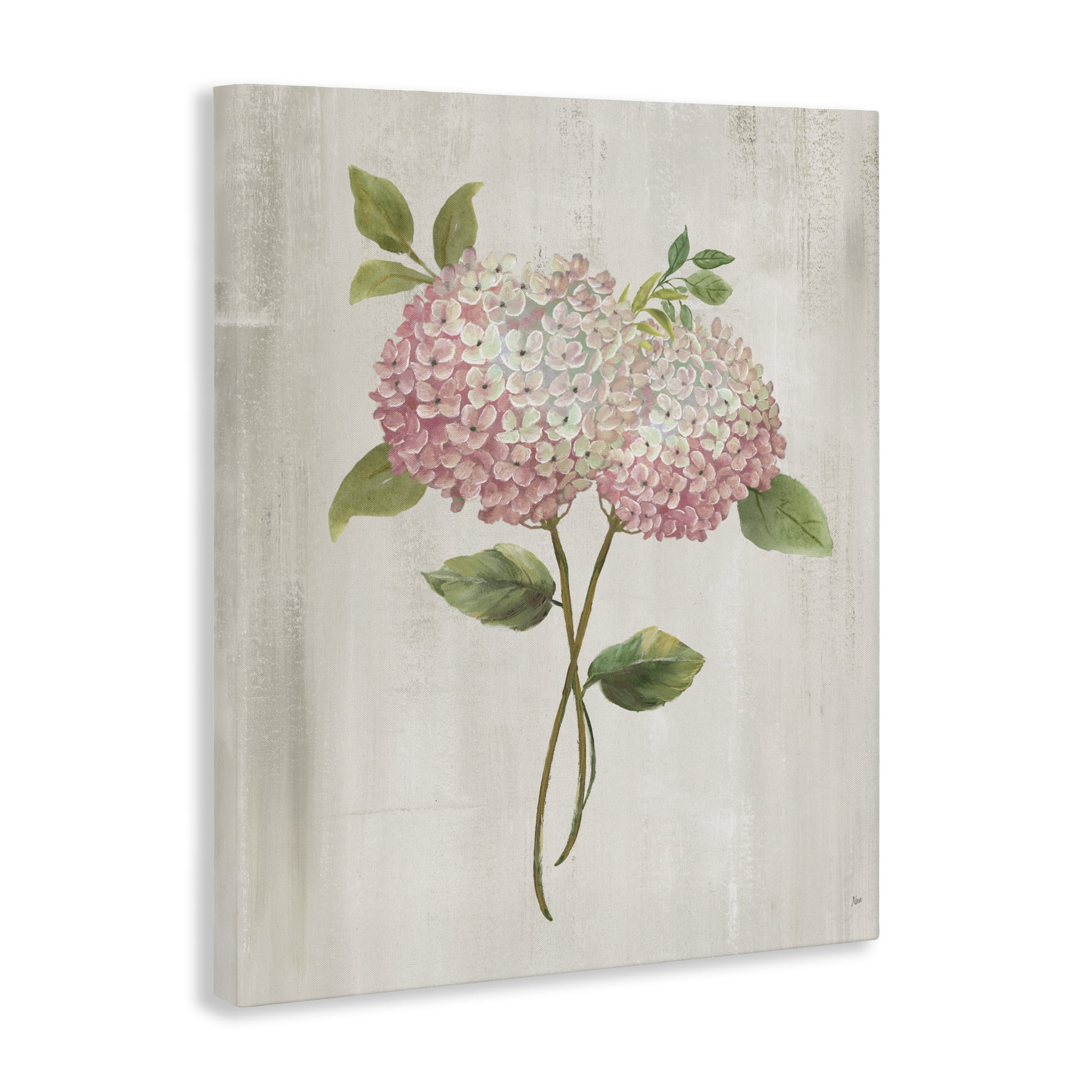 Stupell Industries Vintage Pink Hydrangea Canvas Wall Art, design by Nan
