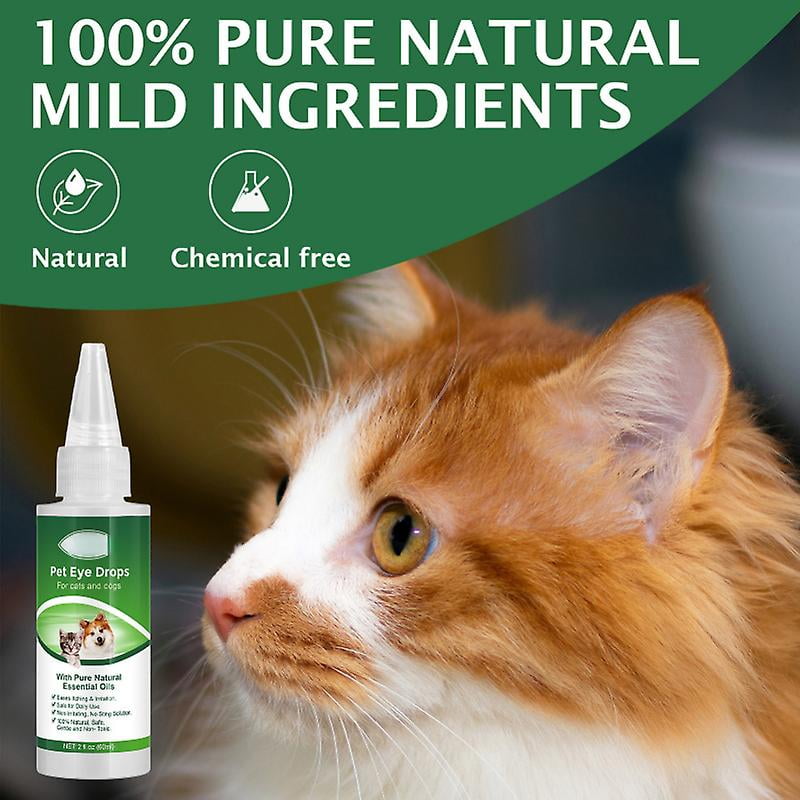 Conjunctivitis Medicine In Cats Conjunctivitis Treatment Pet Eye