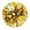 Gold, variant on Pack of 2 Cheerleading Pom Poms 12.6 inch Foil Plastic Metallic Cheerleader Pom Poms for Cheer Sport Team Spirit Cheering, Sports Games Props and Colored Room Decor .