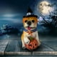 thumbnail image 4 of Decoraciones de mesa con forma de perro calabaza para Halloween, decoraciones navideñas, 4 of 5