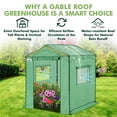 thumbnail image 6 of EAGLE PEAK 6x6 FT Portable Walk-in Greenhouse, Pop up Outdoor Green House with Power Access Openings, Green, 6 of 10