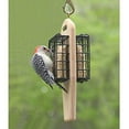 thumbnail image 4 of Birds Choice 2-Cake Hanging Suet Feeder, 4 of 5