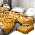 thumbnail image 1 of Dvruxg Lightweight Fall Quilt, Double-Sided Cold Effect Autumn Cooling Comforter, Machine Washable Breathable Cooling Quilt for All Season, 1 of 2