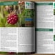 thumbnail image 2 of La Guía Los Recolectores Alimentos Silvestres Libros en Inglés Páginas Interiores Color Bolsillo, 2 of 5