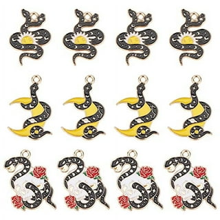 SUNNYCLUE 1 Box 24Pcs Gothic Charms Bulk Crow Charms Enamel Raven Black  Bird Skull Scary Halloween Skeleton Charm Rose Moon Charms for Jewelry  Making