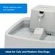 thumbnail image 4 of Fuente de agua PetSafe Drinkwell para gatos y perros pequeños, 4 of 6